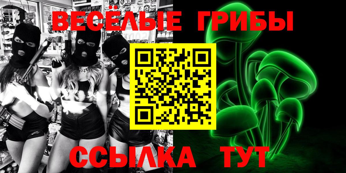 Псилоцибиновые грибы прущие грибы  как найти закладки  Вход с VPN  Спасск-Дальний  Псилоцибиновые грибы Psilocybine cubensis 