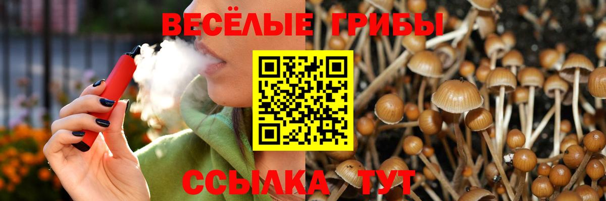 Галлюциногенные грибы GOLDEN TEACHER Спасск-Дальний